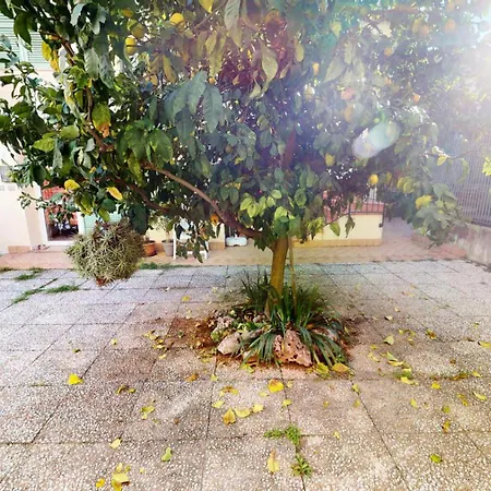 Sainte Devotte - Giotto - Joli Petit 3p Au Calme Avec Terrasse Proche De La Mer Mae-7004 Appartement